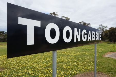 You are currently viewing The Naming of Toongabbie