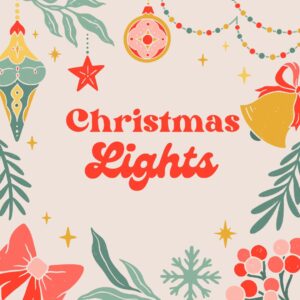 Read more about the article Christmas Lights 2022