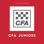 What do the Toongabbie CFA Juniors do?