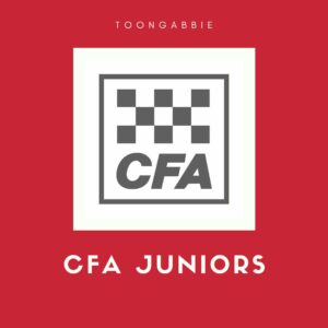 Read more about the article What do the Toongabbie CFA Juniors do?