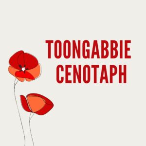 Read more about the article Cenotaph Installation June 2024