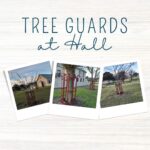 Read more about the article Wonderful improvements to the tree guards at the Toongabbie Mechanics Institute Hall