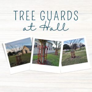 Read more about the article Wonderful improvements to the tree guards at the Toongabbie Mechanics Institute Hall